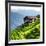 China 10MKm2 Collection - Rice Terraces - Longsheng Ping'an - Guangxi-Philippe Hugonnard-Framed Photographic Print