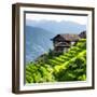 China 10MKm2 Collection - Rice Terraces - Longsheng Ping'an - Guangxi-Philippe Hugonnard-Framed Photographic Print