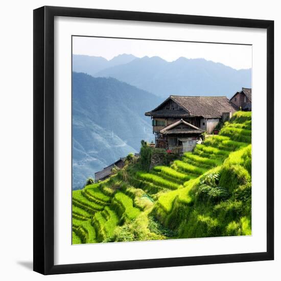 China 10MKm2 Collection - Rice Terraces - Longsheng Ping'an - Guangxi-Philippe Hugonnard-Framed Photographic Print