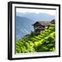 China 10MKm2 Collection - Rice Terraces - Longsheng Ping'an - Guangxi-Philippe Hugonnard-Framed Photographic Print