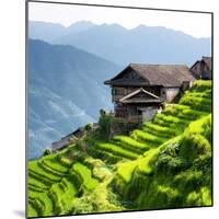 China 10MKm2 Collection - Rice Terraces - Longsheng Ping'an - Guangxi-Philippe Hugonnard-Mounted Photographic Print