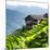 China 10MKm2 Collection - Rice Terraces - Longsheng Ping'an - Guangxi-Philippe Hugonnard-Mounted Photographic Print