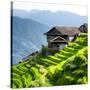 China 10MKm2 Collection - Rice Terraces - Longsheng Ping'an - Guangxi-Philippe Hugonnard-Stretched Canvas