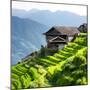 China 10MKm2 Collection - Rice Terraces - Longsheng Ping'an - Guangxi-Philippe Hugonnard-Mounted Premium Photographic Print