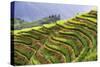 China 10MKm2 Collection - Rice Terraces - Longsheng Ping'an - Guangxi-Philippe Hugonnard-Stretched Canvas