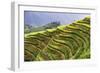 China 10MKm2 Collection - Rice Terraces - Longsheng Ping'an - Guangxi-Philippe Hugonnard-Framed Photographic Print