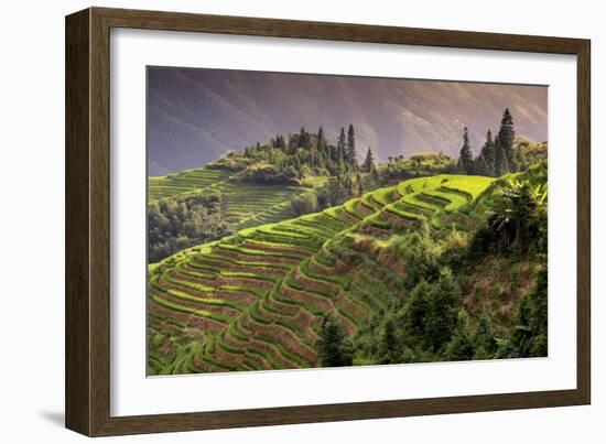 China 10MKm2 Collection - Rice Terraces - Longsheng Ping'an - Guangxi-Philippe Hugonnard-Framed Photographic Print