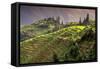 China 10MKm2 Collection - Rice Terraces - Longsheng Ping'an - Guangxi-Philippe Hugonnard-Framed Stretched Canvas