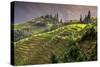 China 10MKm2 Collection - Rice Terraces - Longsheng Ping'an - Guangxi-Philippe Hugonnard-Stretched Canvas