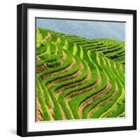 China 10MKm2 Collection - Rice Terraces - Longsheng Ping'an - Guangxi-Philippe Hugonnard-Framed Photographic Print