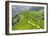 China 10MKm2 Collection - Rice Terraces - Longsheng Ping'an - Guangxi-Philippe Hugonnard-Framed Photographic Print