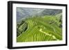 China 10MKm2 Collection - Rice Terraces - Longsheng Ping'an - Guangxi-Philippe Hugonnard-Framed Photographic Print