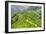 China 10MKm2 Collection - Rice Terraces - Longsheng Ping'an - Guangxi-Philippe Hugonnard-Framed Photographic Print