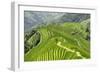 China 10MKm2 Collection - Rice Terraces - Longsheng Ping'an - Guangxi-Philippe Hugonnard-Framed Photographic Print