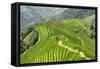 China 10MKm2 Collection - Rice Terraces - Longsheng Ping'an - Guangxi-Philippe Hugonnard-Framed Stretched Canvas