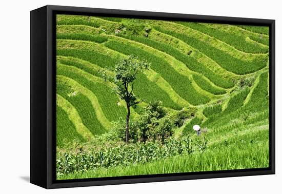 China 10MKm2 Collection - Rice Terraces - Longsheng Ping'an - Guangxi-Philippe Hugonnard-Framed Stretched Canvas