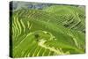 China 10MKm2 Collection - Rice Terraces - Longsheng Ping'an - Guangxi-Philippe Hugonnard-Stretched Canvas