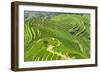 China 10MKm2 Collection - Rice Terraces - Longsheng Ping'an - Guangxi-Philippe Hugonnard-Framed Photographic Print