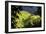 China 10MKm2 Collection - Rice Terraces - Longsheng Ping'an - Guangxi-Philippe Hugonnard-Framed Photographic Print