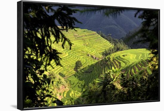 China 10MKm2 Collection - Rice Terraces - Longsheng Ping'an - Guangxi-Philippe Hugonnard-Framed Photographic Print