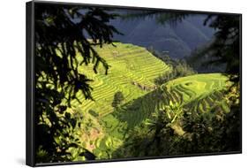 China 10MKm2 Collection - Rice Terraces - Longsheng Ping'an - Guangxi-Philippe Hugonnard-Framed Photographic Print