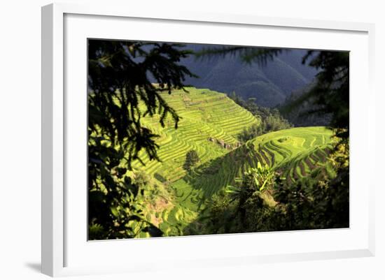 China 10MKm2 Collection - Rice Terraces - Longsheng Ping'an - Guangxi-Philippe Hugonnard-Framed Photographic Print