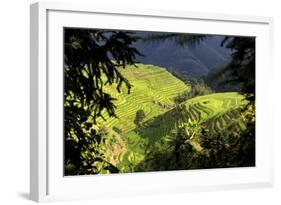 China 10MKm2 Collection - Rice Terraces - Longsheng Ping'an - Guangxi-Philippe Hugonnard-Framed Photographic Print