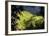 China 10MKm2 Collection - Rice Terraces - Longsheng Ping'an - Guangxi-Philippe Hugonnard-Framed Photographic Print