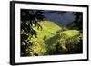 China 10MKm2 Collection - Rice Terraces - Longsheng Ping'an - Guangxi-Philippe Hugonnard-Framed Photographic Print