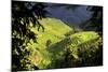 China 10MKm2 Collection - Rice Terraces - Longsheng Ping'an - Guangxi-Philippe Hugonnard-Mounted Photographic Print