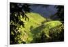 China 10MKm2 Collection - Rice Terraces - Longsheng Ping'an - Guangxi-Philippe Hugonnard-Framed Photographic Print