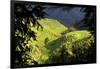 China 10MKm2 Collection - Rice Terraces - Longsheng Ping'an - Guangxi-Philippe Hugonnard-Framed Photographic Print