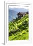 China 10MKm2 Collection - Rice Terraces - Longsheng Ping'an - Guangxi-Philippe Hugonnard-Framed Photographic Print