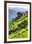 China 10MKm2 Collection - Rice Terraces - Longsheng Ping'an - Guangxi-Philippe Hugonnard-Framed Photographic Print