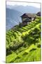 China 10MKm2 Collection - Rice Terraces - Longsheng Ping'an - Guangxi-Philippe Hugonnard-Mounted Photographic Print