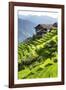 China 10MKm2 Collection - Rice Terraces - Longsheng Ping'an - Guangxi-Philippe Hugonnard-Framed Photographic Print