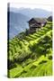 China 10MKm2 Collection - Rice Terraces - Longsheng Ping'an - Guangxi-Philippe Hugonnard-Stretched Canvas