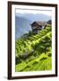 China 10MKm2 Collection - Rice Terraces - Longsheng Ping'an - Guangxi-Philippe Hugonnard-Framed Photographic Print