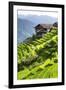 China 10MKm2 Collection - Rice Terraces - Longsheng Ping'an - Guangxi-Philippe Hugonnard-Framed Photographic Print