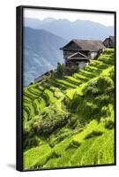 China 10MKm2 Collection - Rice Terraces - Longsheng Ping'an - Guangxi-Philippe Hugonnard-Framed Photographic Print