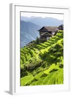 China 10MKm2 Collection - Rice Terraces - Longsheng Ping'an - Guangxi-Philippe Hugonnard-Framed Photographic Print