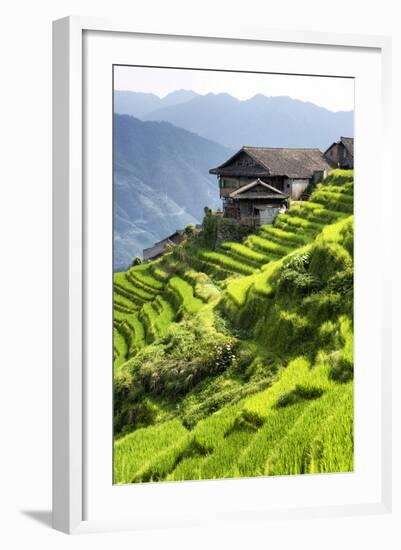 China 10MKm2 Collection - Rice Terraces - Longsheng Ping'an - Guangxi-Philippe Hugonnard-Framed Photographic Print