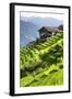 China 10MKm2 Collection - Rice Terraces - Longsheng Ping'an - Guangxi-Philippe Hugonnard-Framed Photographic Print