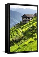 China 10MKm2 Collection - Rice Terraces - Longsheng Ping'an - Guangxi-Philippe Hugonnard-Framed Stretched Canvas