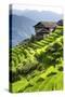 China 10MKm2 Collection - Rice Terraces - Longsheng Ping'an - Guangxi-Philippe Hugonnard-Stretched Canvas