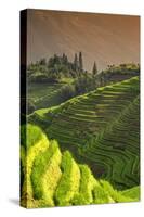 China 10MKm2 Collection - Rice Terraces - Longsheng Ping'an - Guangxi-Philippe Hugonnard-Stretched Canvas