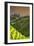 China 10MKm2 Collection - Rice Terraces - Longsheng Ping'an - Guangxi-Philippe Hugonnard-Framed Photographic Print