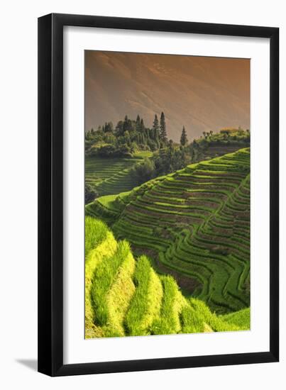 China 10MKm2 Collection - Rice Terraces - Longsheng Ping'an - Guangxi-Philippe Hugonnard-Framed Photographic Print