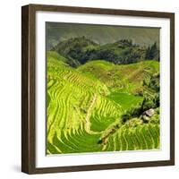 China 10MKm2 Collection - Rice Terraces - Longsheng Ping'an - Guangxi-Philippe Hugonnard-Framed Photographic Print