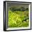 China 10MKm2 Collection - Rice Terraces - Longsheng Ping'an - Guangxi-Philippe Hugonnard-Framed Photographic Print